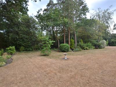 Picture 19